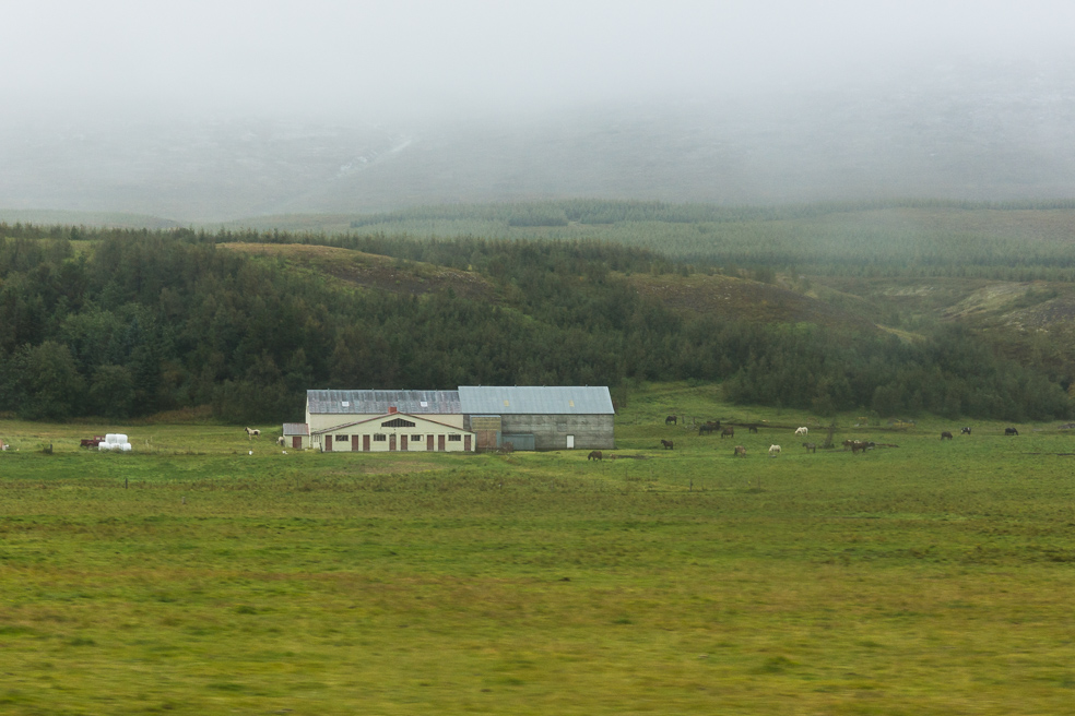 20240909_0009_Island