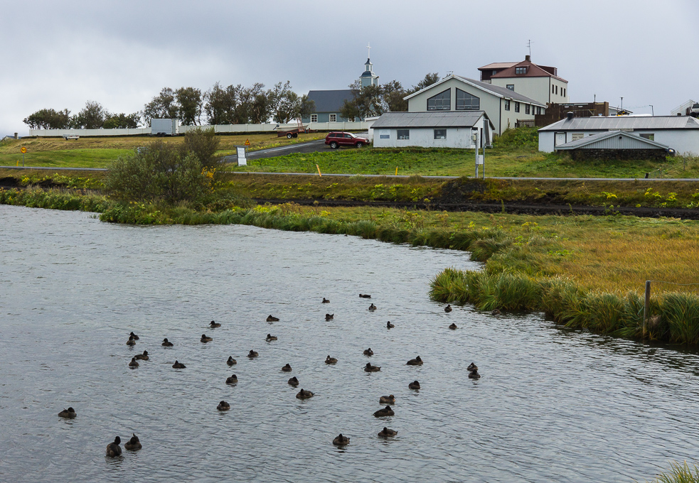 20240909_0066_Island