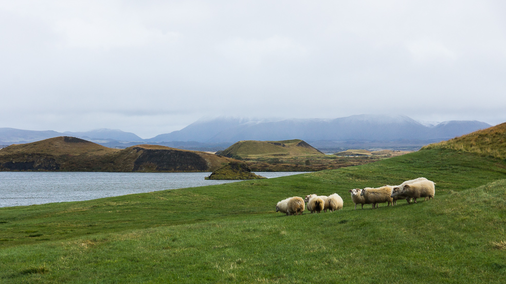 20240909_0075_Island