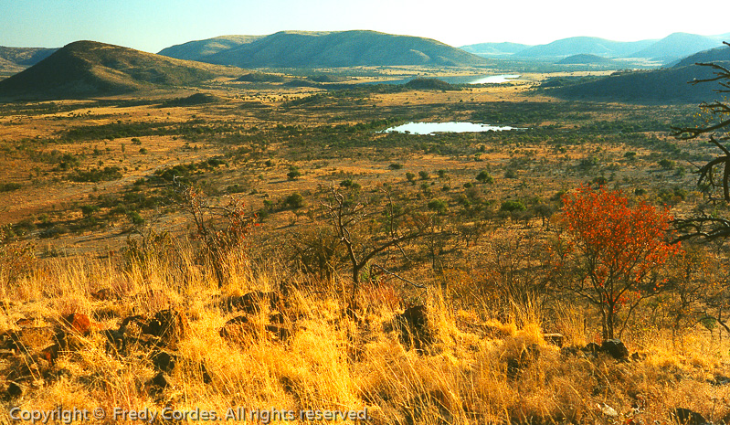 20001206_0025_Suedafrika
