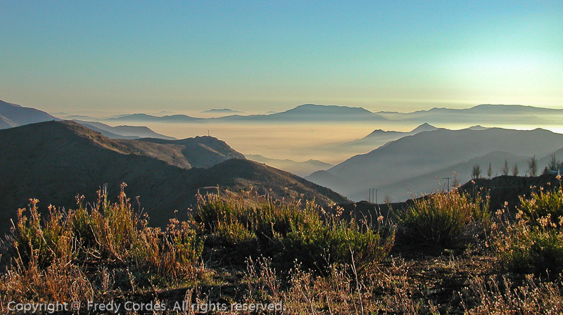 20010609_0025_Portillo