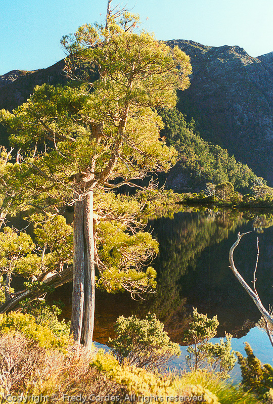 20020107_0020_Tasmanien