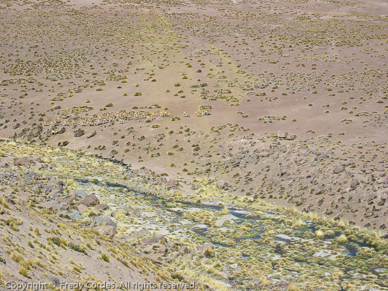 20021021_0089_Geiser_el_Tatio