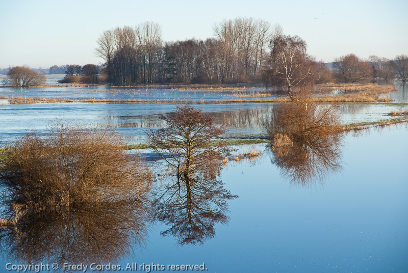 20120115_0026_Hammewiesen