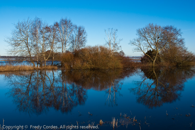 20120115_0068_Hammewiesen