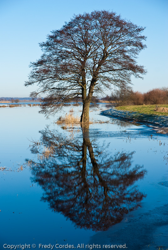 20120115_0085_Hammewiesen