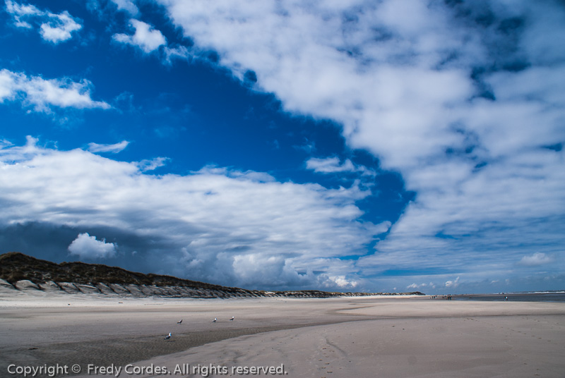 20120413_0339_Langeoog