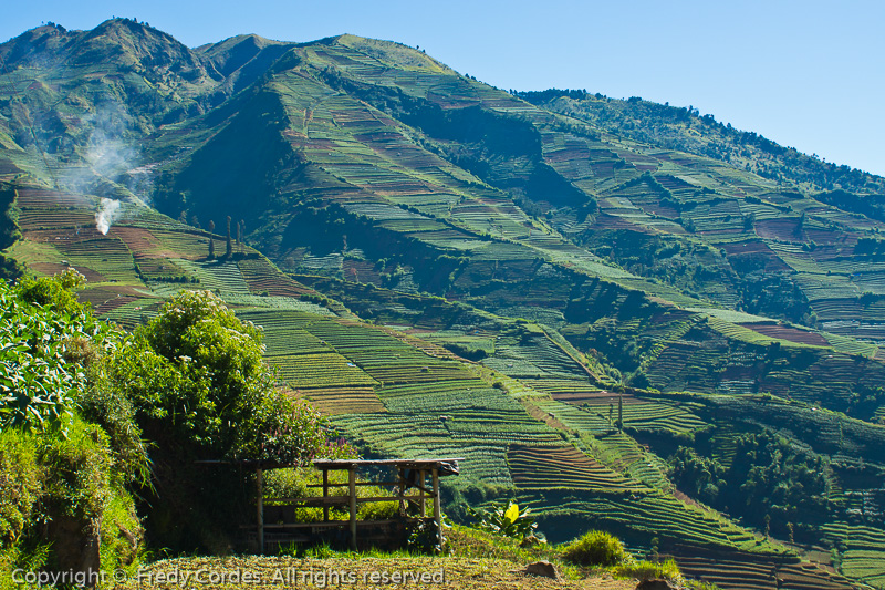 20120616_0024_Dieng_Plateau