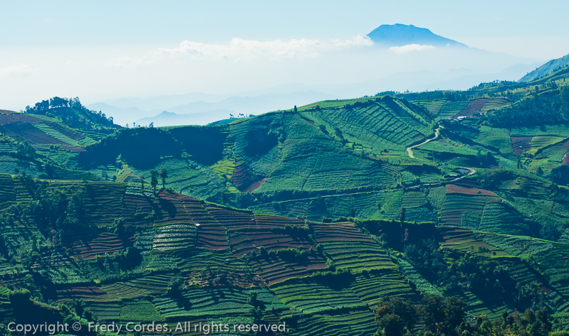 20120616_0035_Dieng_Plateau