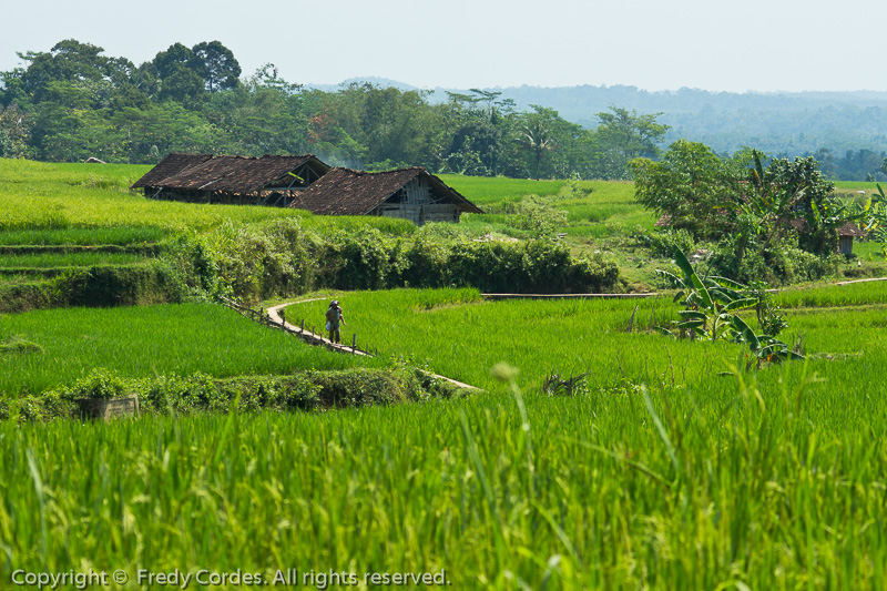 20120630_0028_Goa_Kreo