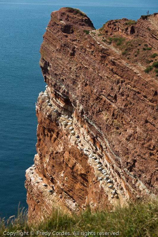 20120819_0130_Helgoland