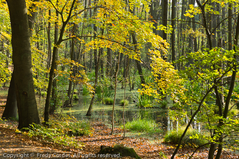 20131007_0203_Usedom