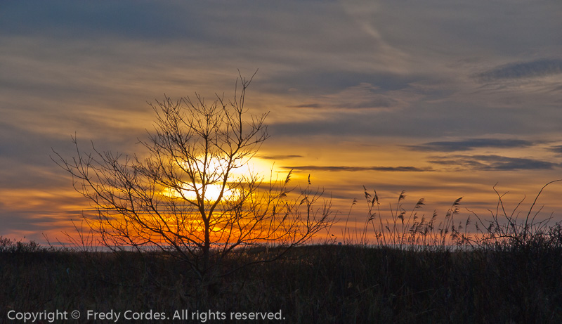 20131231_0045_Sahlenburg_Dunen