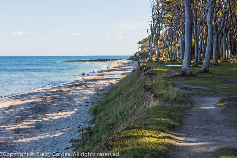 20150915_0160_Kuehlungsborn