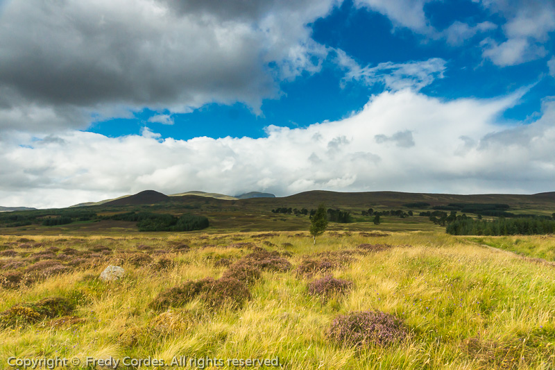 20180823_0199_Schottland